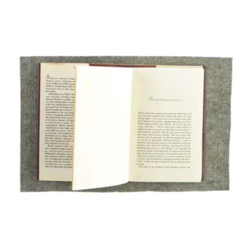 Bookmaker's daugter af Shirley Abbott (Bog)