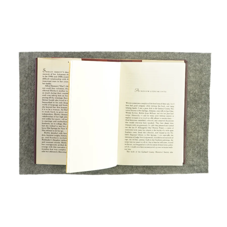 Bookmaker's daugter af Shirley Abbott (Bog)