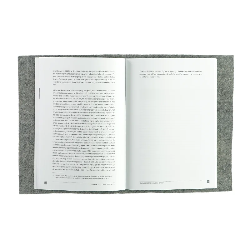 Islamisk stat i Irak og Syrien - Kalifatets orden skaber kaos i den nye krig mod terror (Bog)