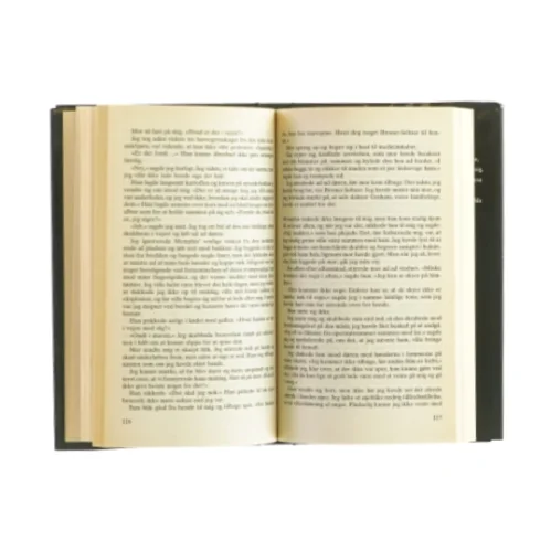 Under åben himmel af Marjorie Reynolds (Bog)