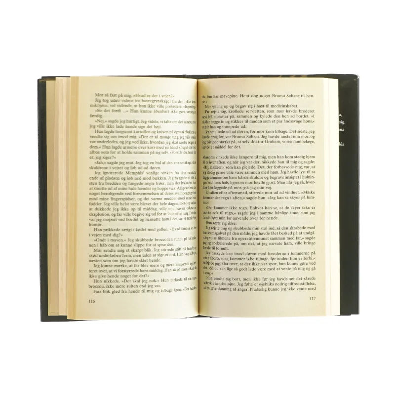 Under åben himmel af Marjorie Reynolds (Bog)