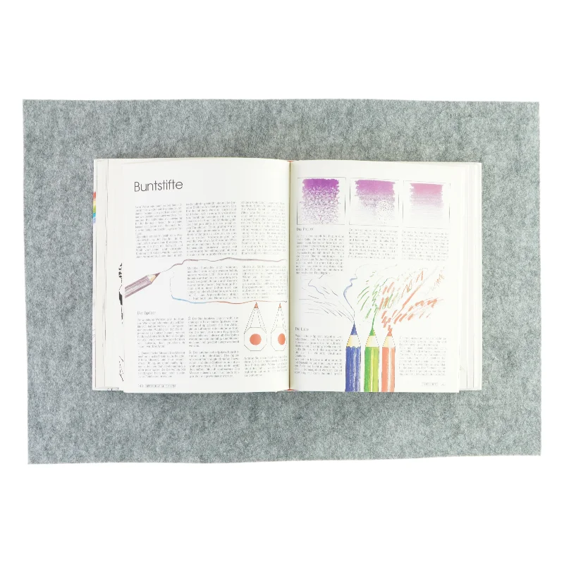 Falken-handbuck - Zeichen und malen af Brian Bagnall (Bog)