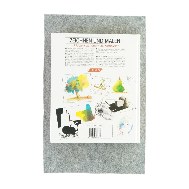 Falken-handbuck - Zeichen und malen af Brian Bagnall (Bog)