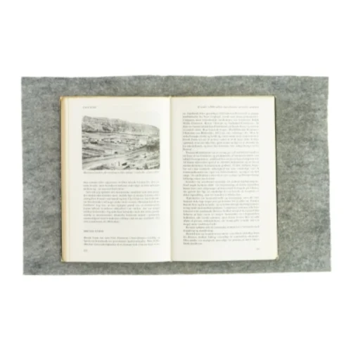 Kvindestudier 5, utopi og subkultur (bog)