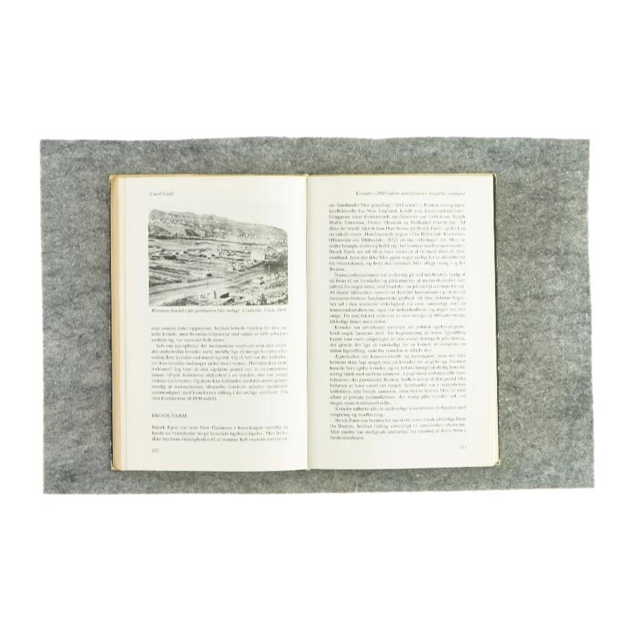 Kvindestudier 5, utopi og subkultur (bog)