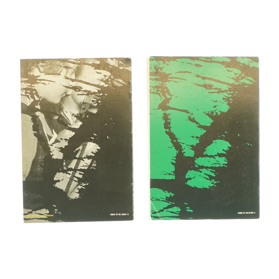 Børn på behandlingshjem, bind 1 og 2 (bog)