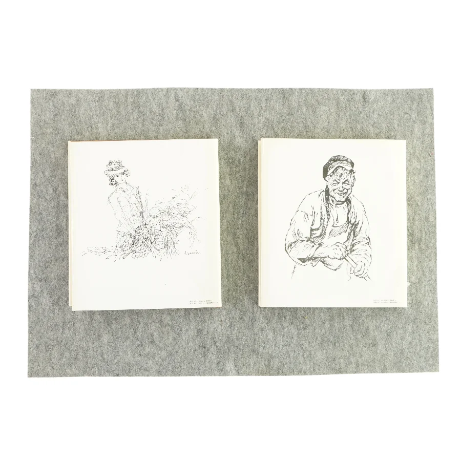 Tvekamp og andre... af Ole Storm 2 bind (bog)