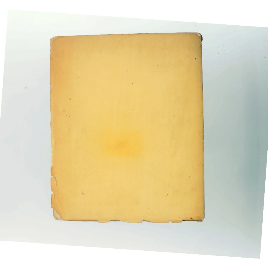 Bogen til Martin Andersen Nexø af Ukendt (Bog)