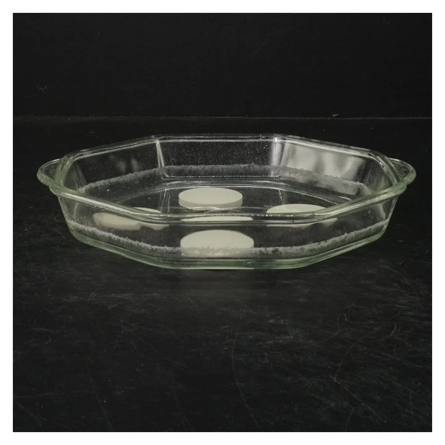 Glasfad med silikonedutter fra Pyrex (str. 22 cm)