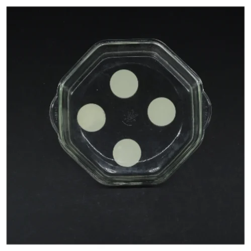 Glasfad med silikonedutter fra Pyrex (str. 22 cm)