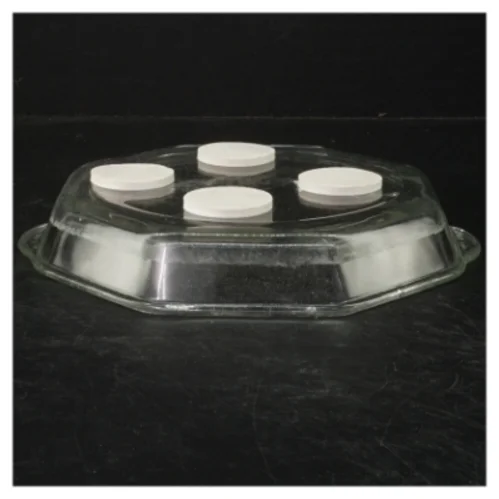 Glasfad med silikonedutter fra Pyrex (str. 22 cm)