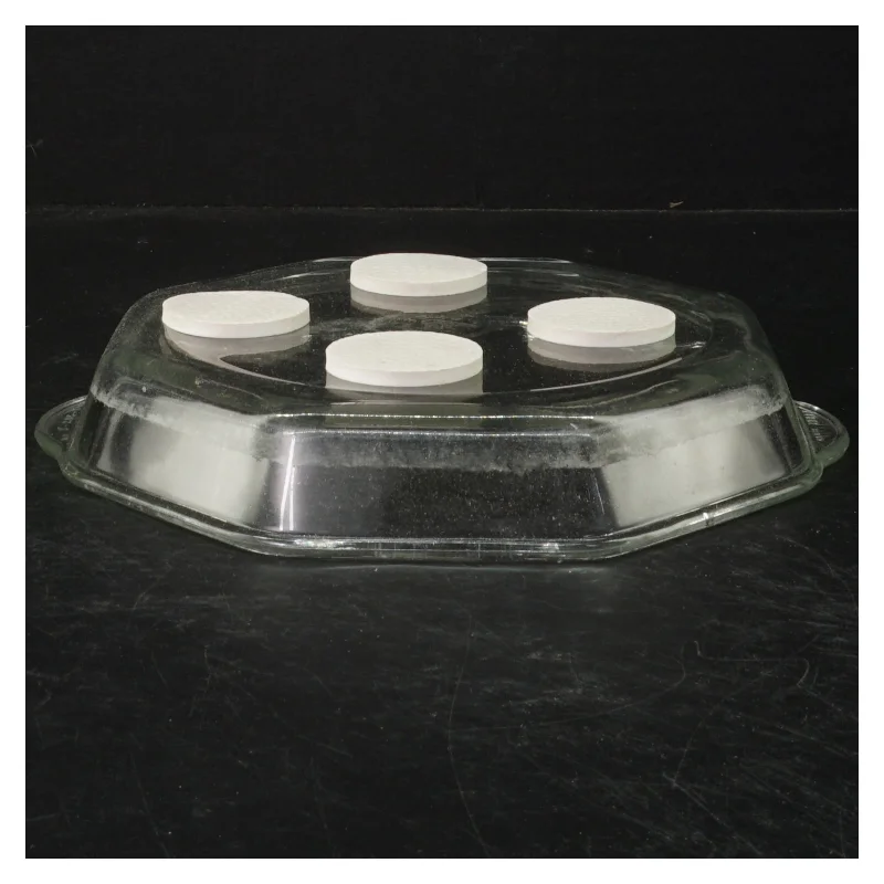 Glasfad med silikonedutter fra Pyrex (str. 22 cm)