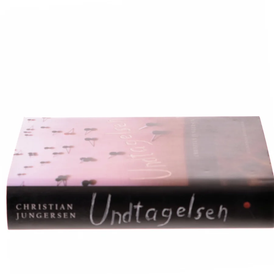 Undtagelsen : roman af Christian Jungersen (Bog)