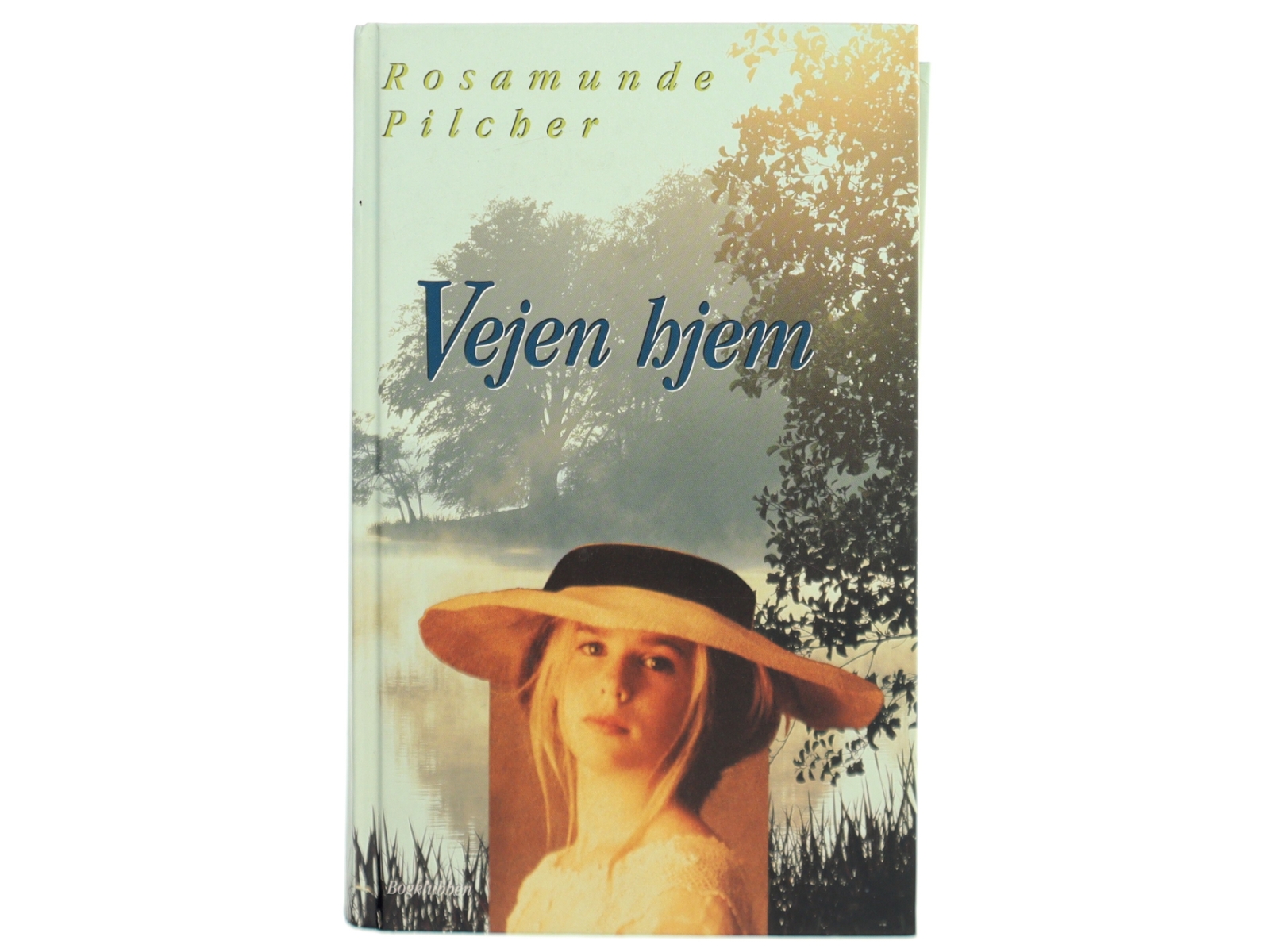 Vejen hjem af Rosamunde Pilcher (Bog)