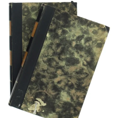 Digte og Noveller af Steen Steensen Blicher (Bog)