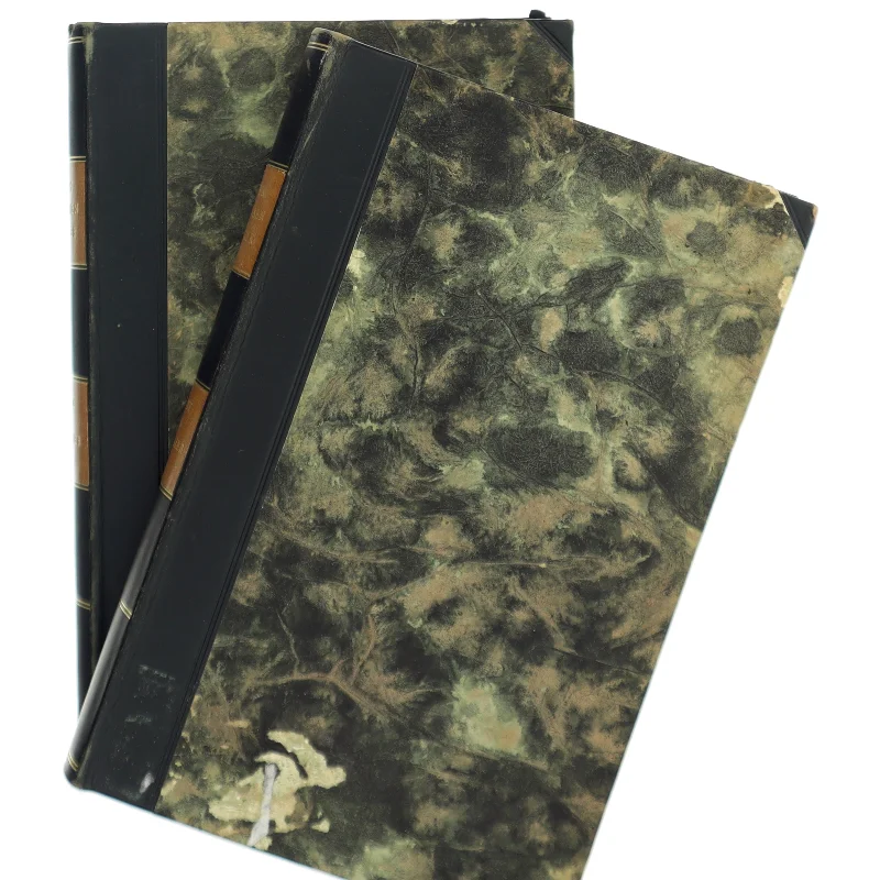 Digte og Noveller af Steen Steensen Blicher (Bog)