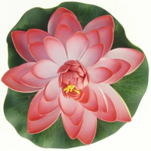 Lotusblomst (str. 15 cm)