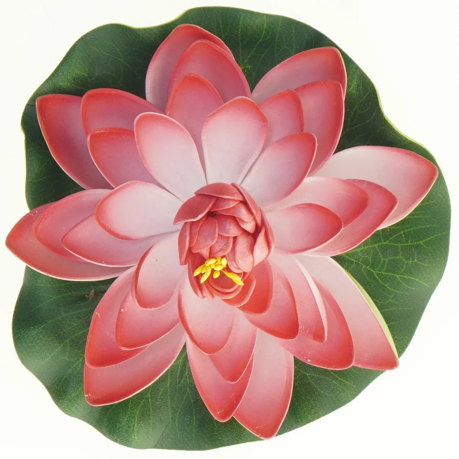 Lotusblomst (str. 15 cm)