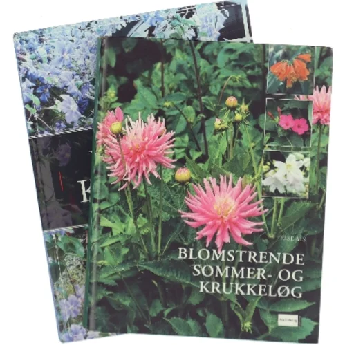 2 havebøger: Blomstrende sommer og krukkeløg og Politikens bog om havens krukker af Karina Demuth (Bog)