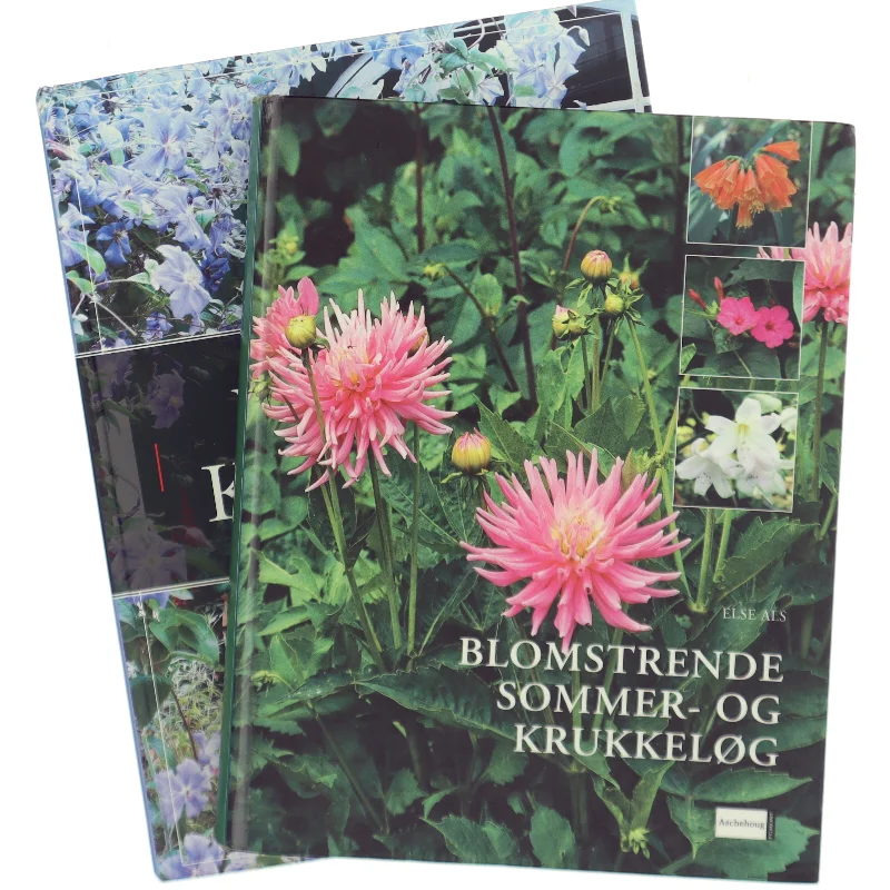 2 havebøger: Blomstrende sommer og krukkeløg og Politikens bog om havens krukker af Karina Demuth (Bog)