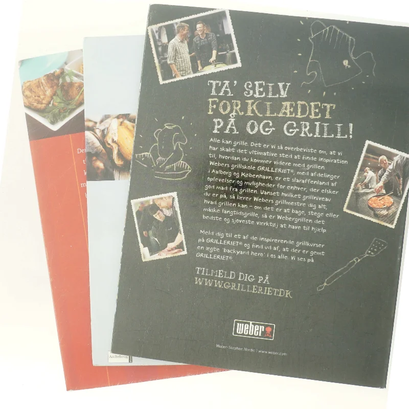 3 grillbøger Den Store Grillbog (Bog)