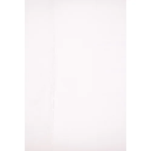 Den Lille Havfrue fra Disney