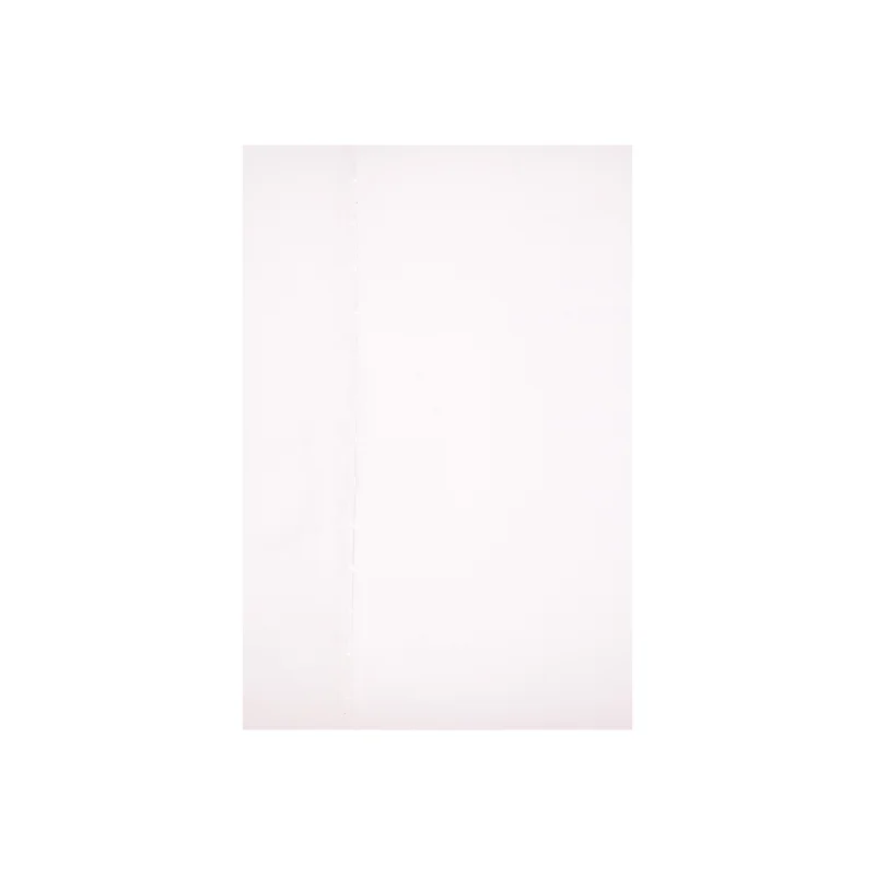 Den Lille Havfrue fra Disney