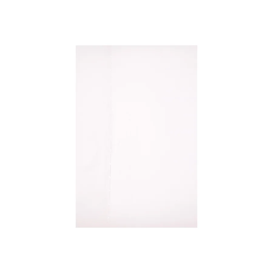 Den Lille Havfrue fra Disney