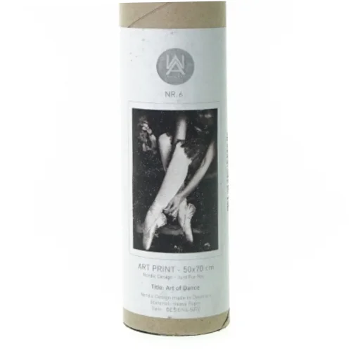 ny Plakat art of dance fra Nordic Design (str. 50 x 70 cm)