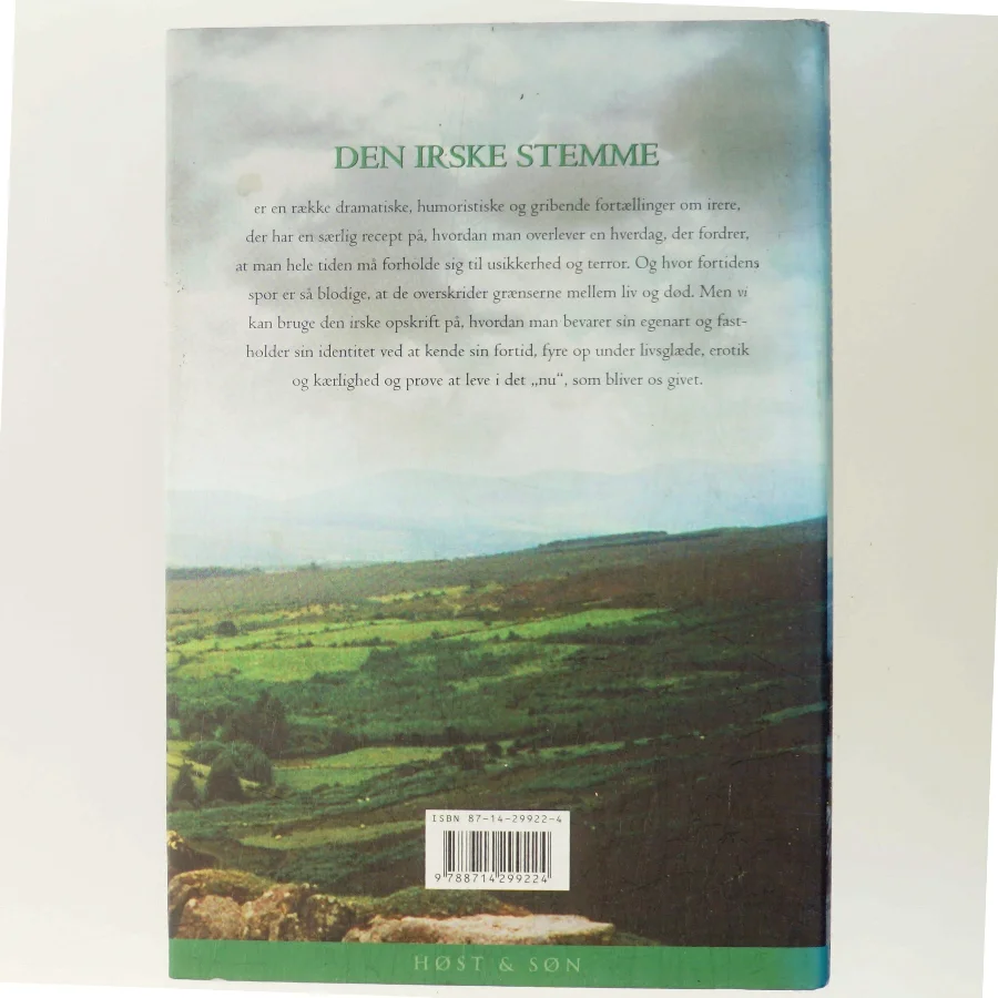 Den irske stemme : fortællinger af Jane Aamund (Bog)