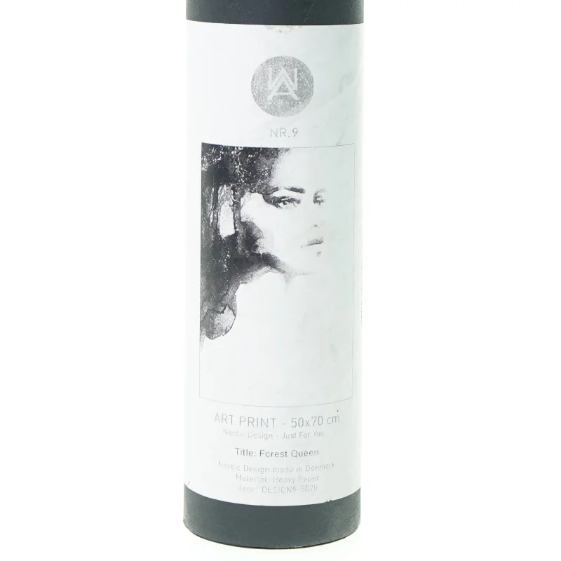 ny grafisk Plakat forest queen fra Nordic Design (str. 50 x 70 cm)