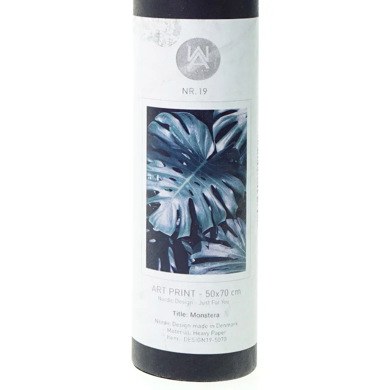 ny Plakat monstera fra Nordic Design (str. 50 x 70 cm)