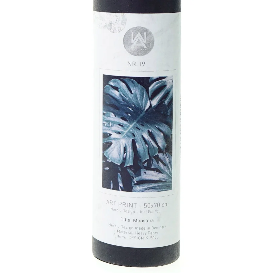 ny Plakat monstera fra Nordic Design (str. 50 x 70 cm)