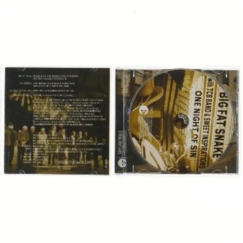 Big Fat Snake: One Night of Sin CD