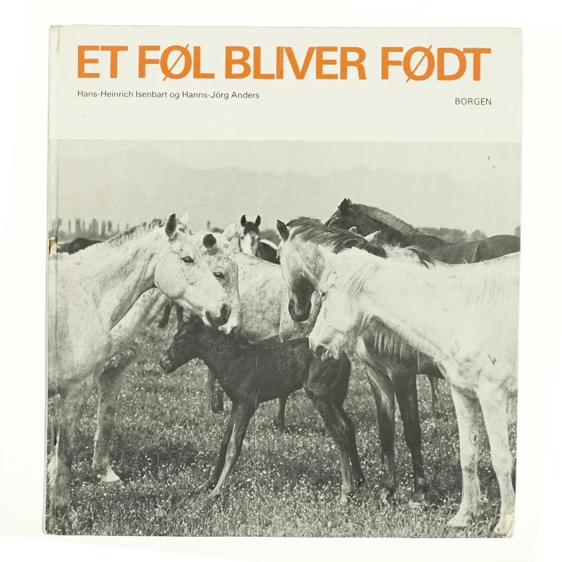 Et føl bliver født fra borgen