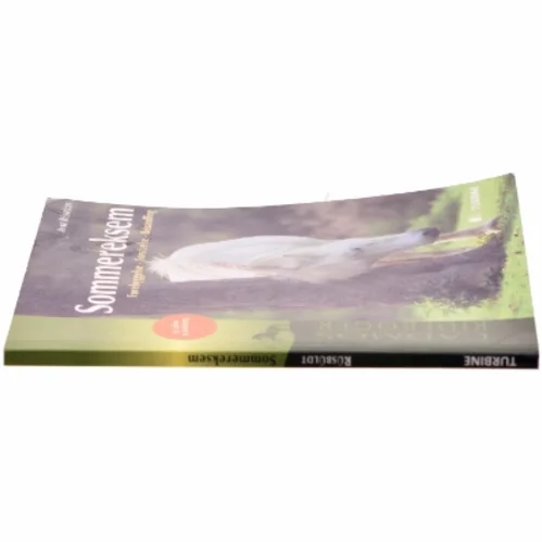 Sommereksem : forebyggelse, forståelse, behandling af Anke Rüsbüldt (Bog)