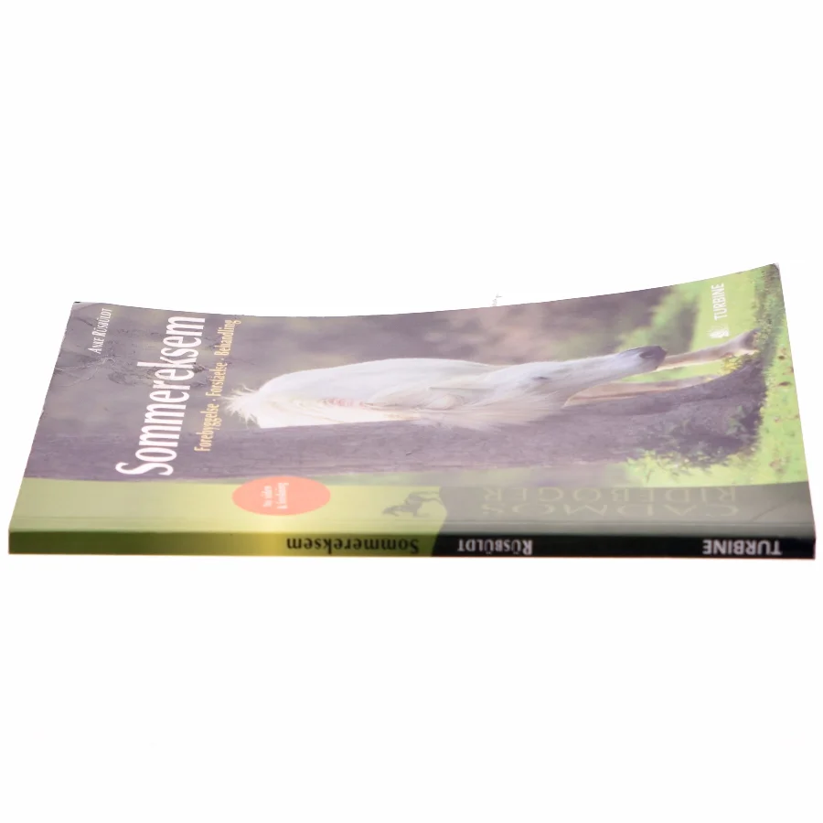 Sommereksem : forebyggelse, forståelse, behandling af Anke Rüsbüldt (Bog)