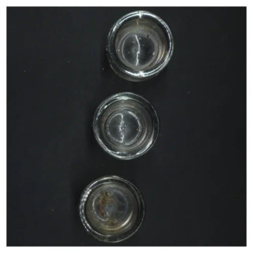 Sæt af tre fyrfadsstager i glas (str. Ø 6,5x6 cm)