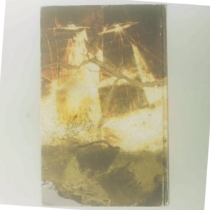 Prins af Ib Michael (Bog)