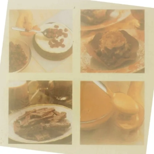 Chokolade delikatesser : de lækreste kager og desserter af Christine France (Bog)