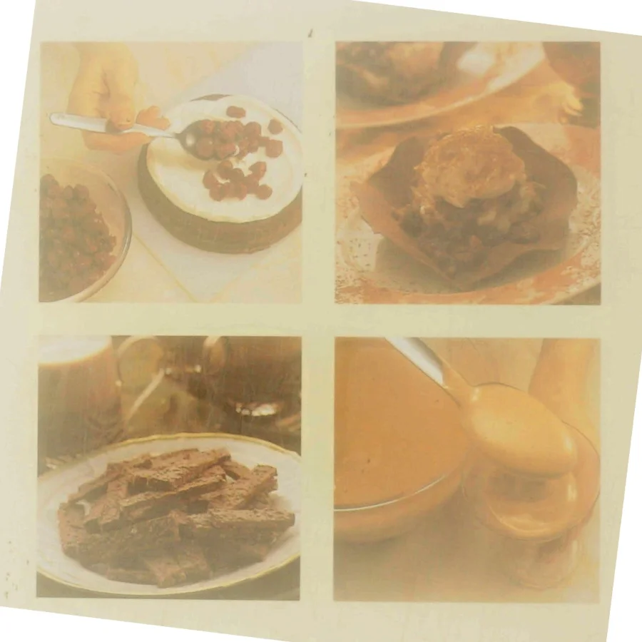 Chokolade delikatesser : de lækreste kager og desserter af Christine France (Bog)