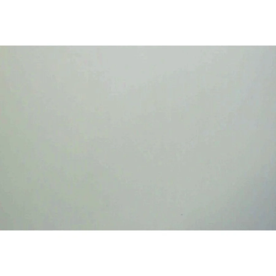 Fedt mule og den fantastiske fisk af Walt Disney (Bog)