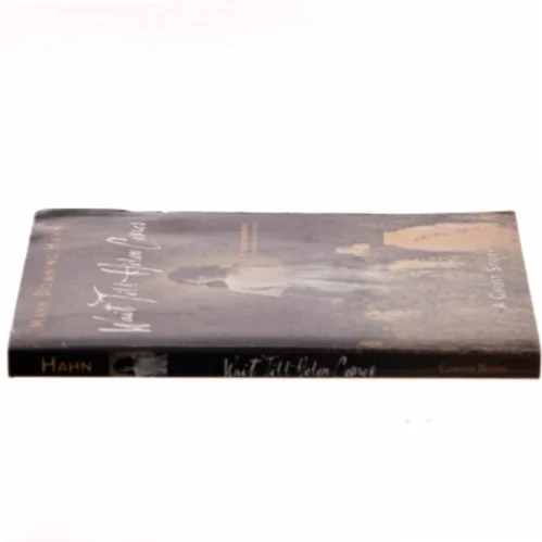 Wait Till Helen Comes af Mary Downing Hahn (Bog)