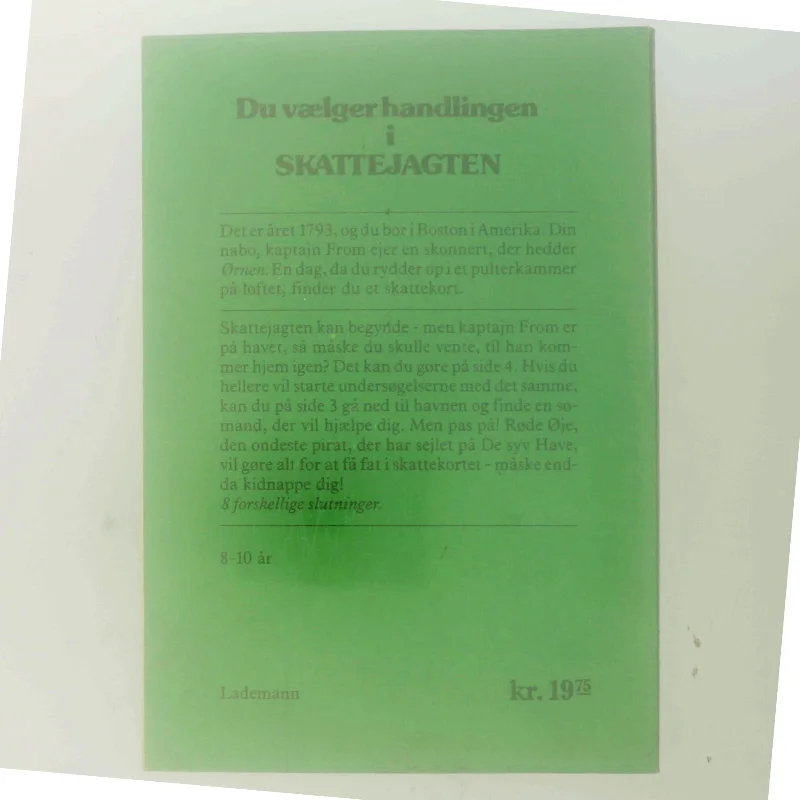 Skattejagten (Bog)