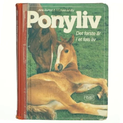 Ponyliv, det første år i et føls liv