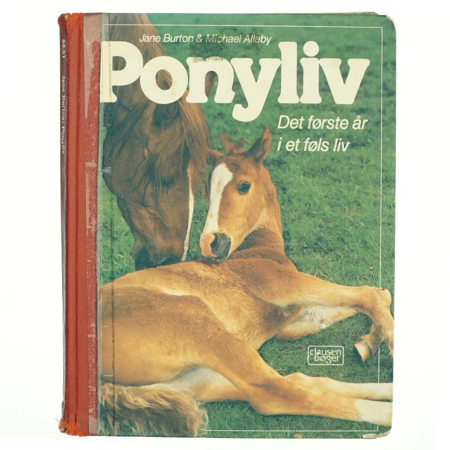 Ponyliv, det første år i et føls liv
