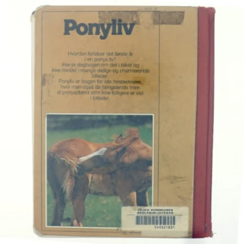 Ponyliv, det første år i et føls liv