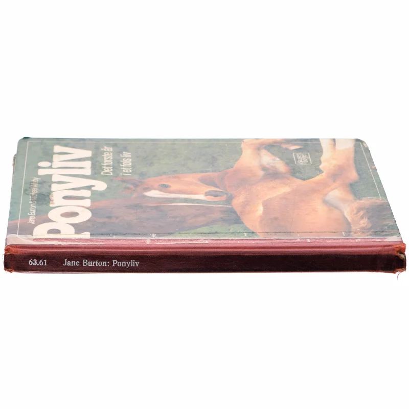 Ponyliv, det første år i et føls liv