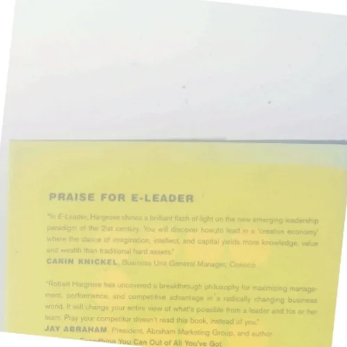 E-Leader af Robert Hargrove (Bog)