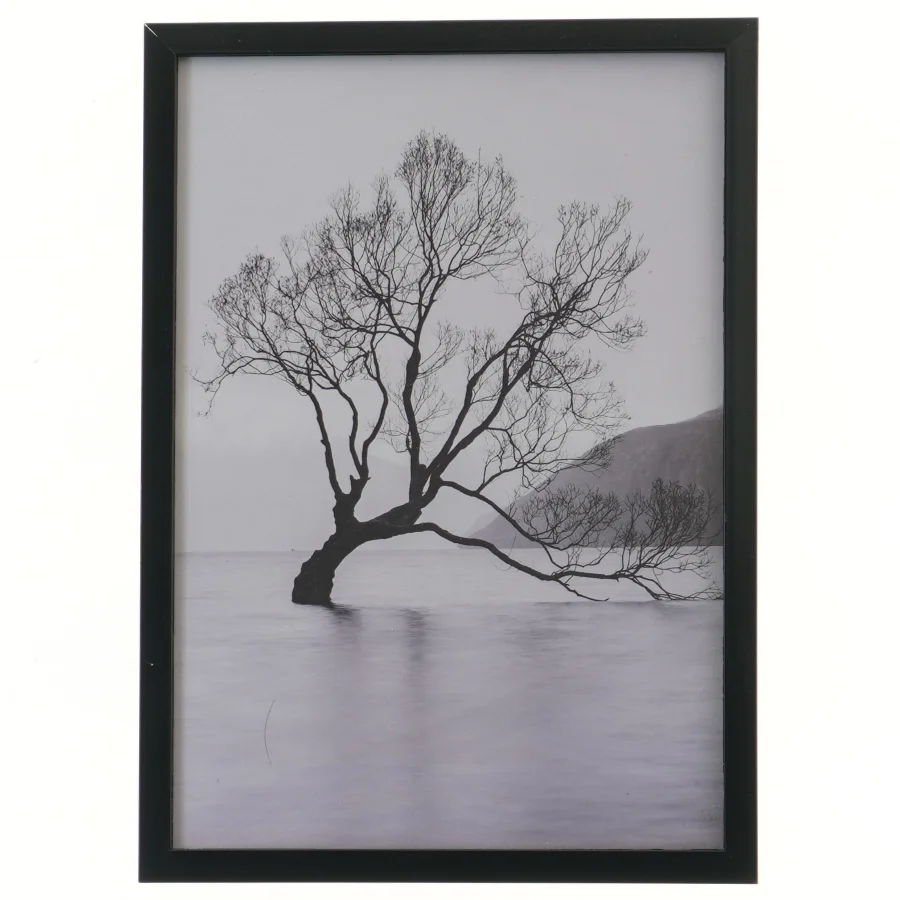 Billede med sort ramme (str. 32x23 cm)